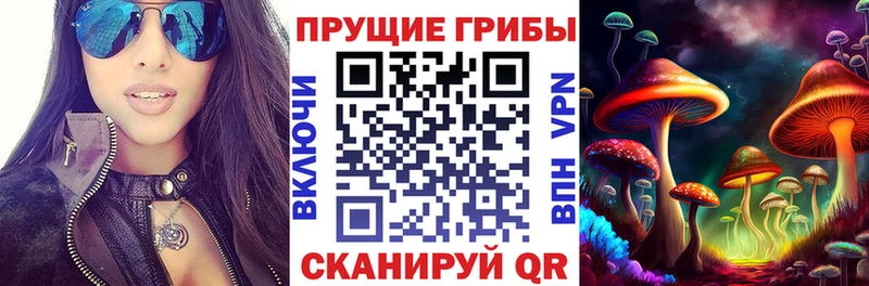 Галлюциногенные грибы GOLDEN TEACHER  Фролово 