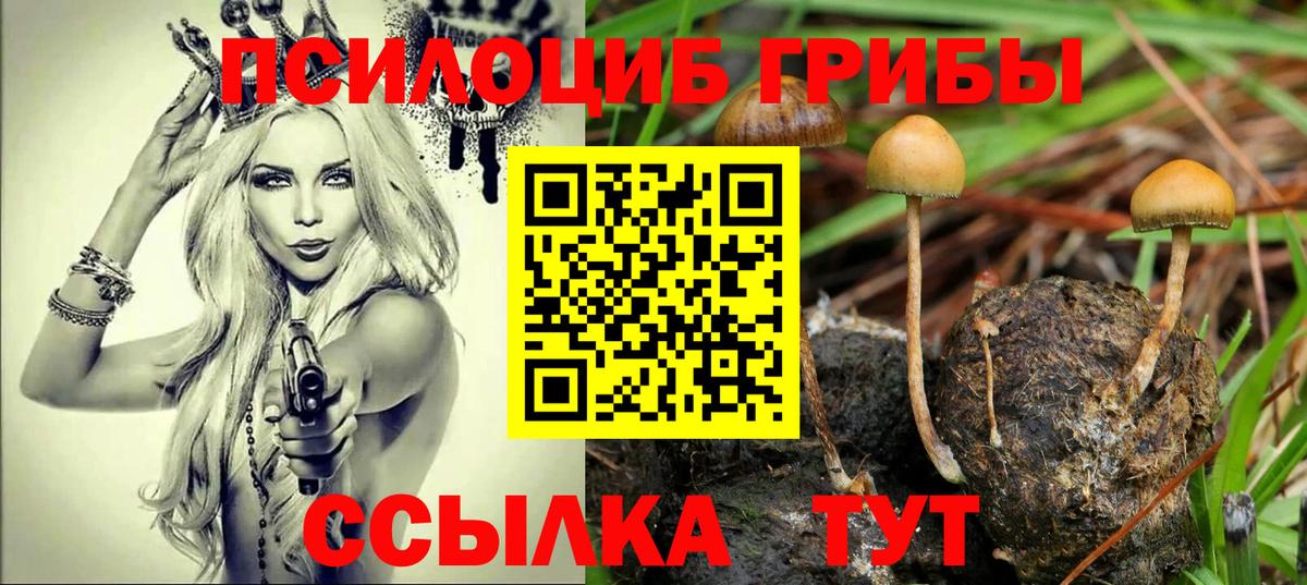 A-PVP СК   Кодеин  Фролово  Cocaine  Вход с VPN  Меф   Гашиш  Конопля 
