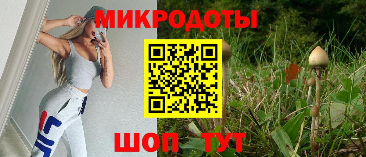 Галлюциногенные грибы MAGIC MUSHROOMS  купить наркотики цена  Галлюциногенные грибы Magic Shrooms  Фролово 