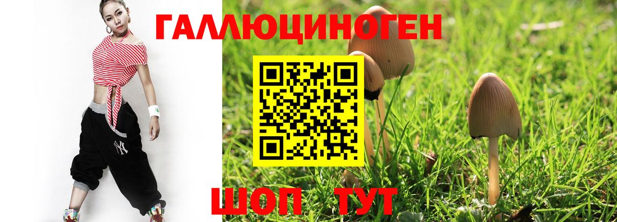 Галлюциногенные грибы Psilocybine cubensis Фролово