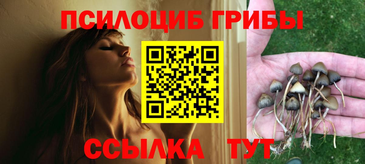 Галлюциногенные грибы Psilocybe  Вход с VPN  Фролово 